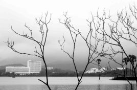 Screenshot 2024-07-18 095310